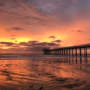 Meet your Posher, Bee